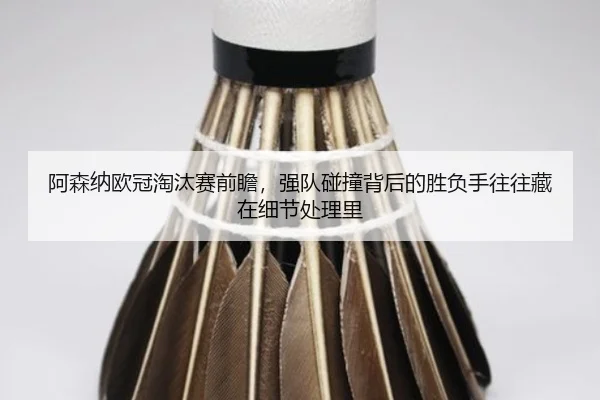 a-sen-na-ou-guan-tao-tai-sai-qian-zhan-qiang-dui-peng-zhuang-bei-hou-de-sheng-fu-shou-wang-wang-cang-zai-xi-jie-chu-li-2-310.jpg